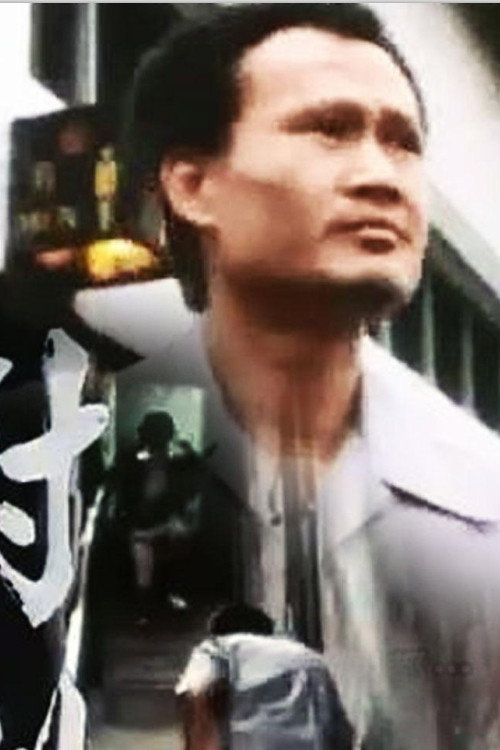小说家族之对倒 — постер