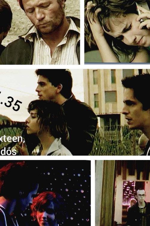 Sweet Sixteen, a hazudós — постер
