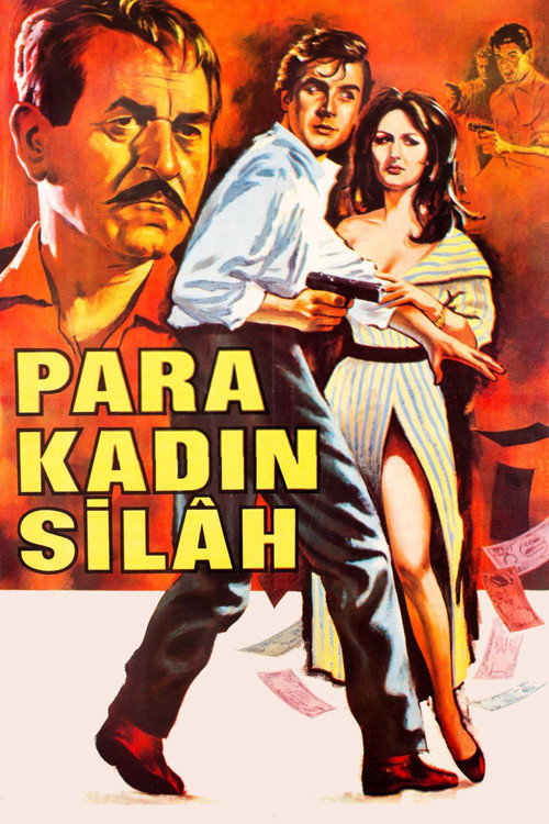 Para Kadın Silah — постер