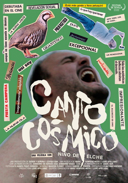 Canto Cósmico. Niño de Elche — постер