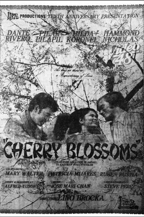 Cherry Blossoms — постер