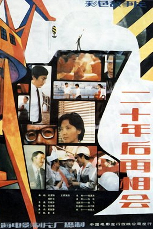 二十年后再相会 — постер