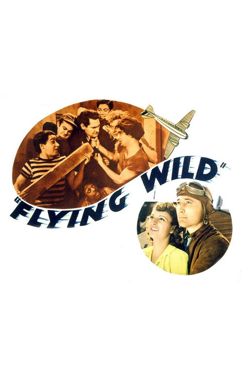 Flying Wild — постер