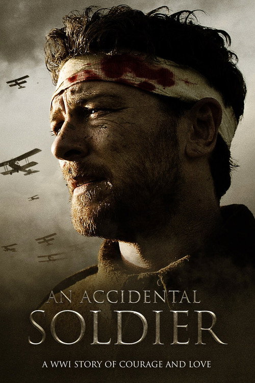 An Accidental Soldier — постер