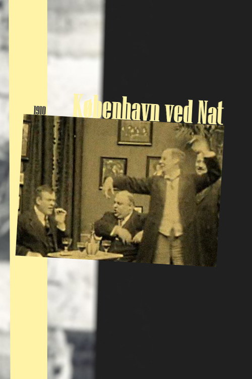 København ved Nat — постер