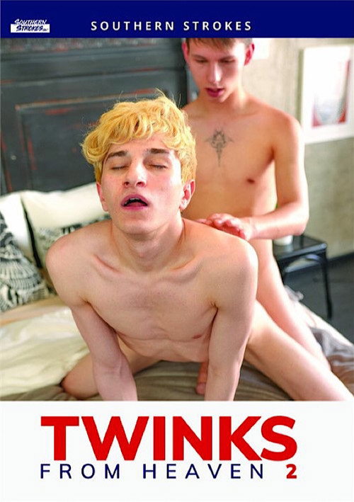 Twinks from Heaven 2 — постер