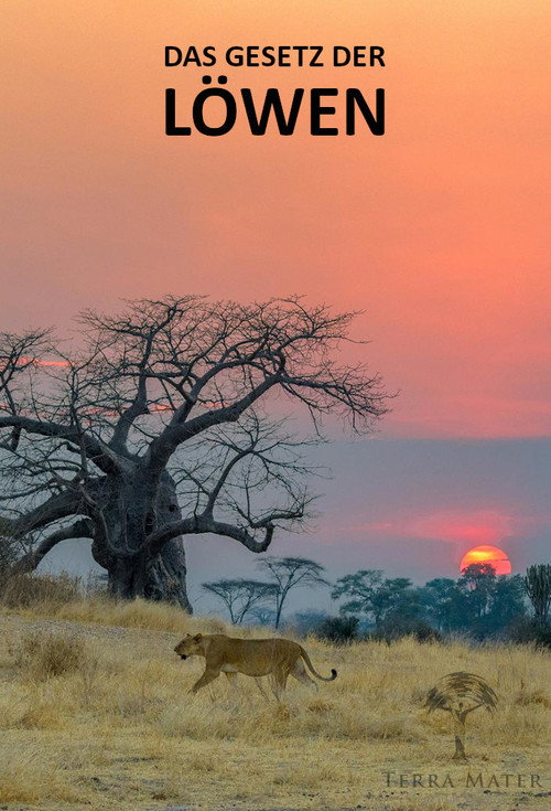 Das Gesetz der Löwen — постер