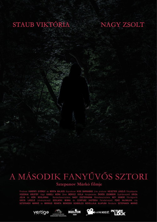 A második fanyűvős sztori — постер