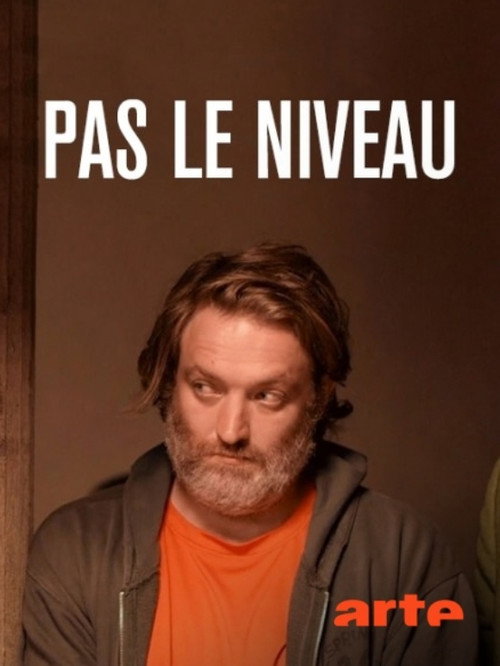 Pas le niveau — постер