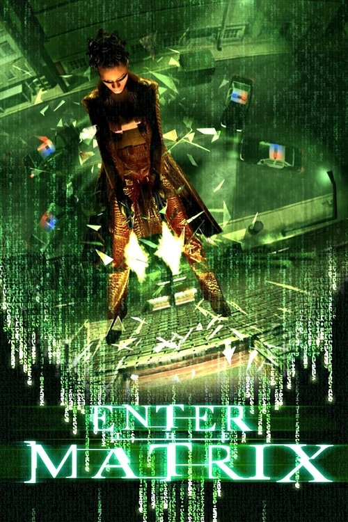 Making 'Enter the Matrix' — постер