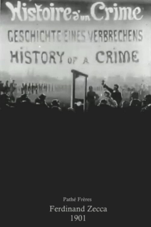 Histoire d'un crime — постер