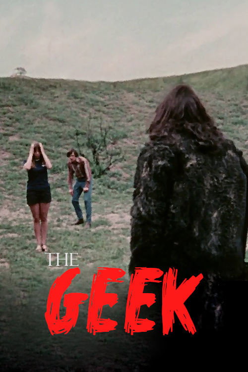The Geek — постер