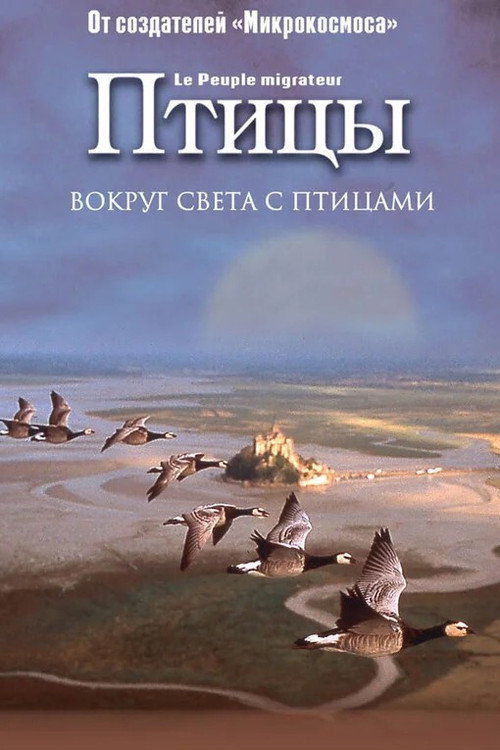 Птицы — постер