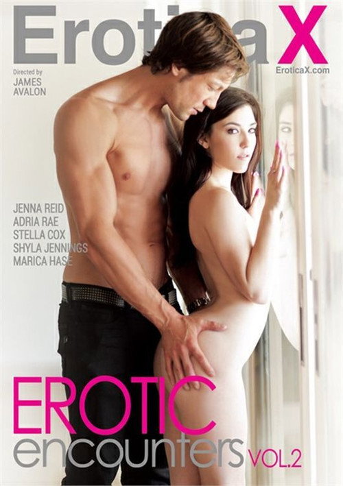 Erotic Encounters 2 — постер