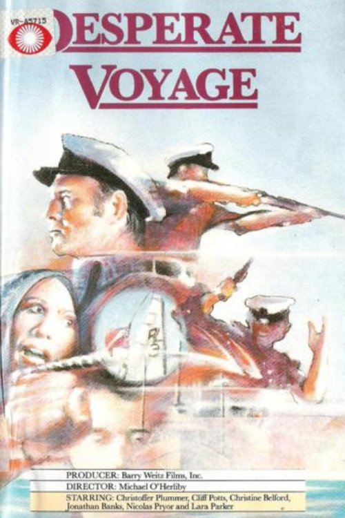 Desperate Voyage — постер