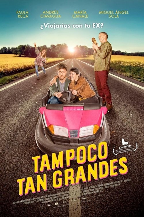 Tampoco tan grandes — постер