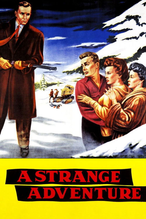 A Strange Adventure — постер