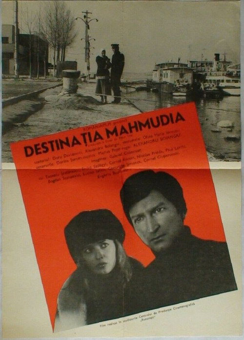 Destinația Mahmudia — постер