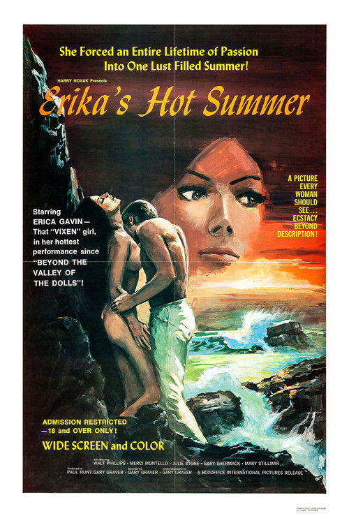 Erika's Hot Summer — постер