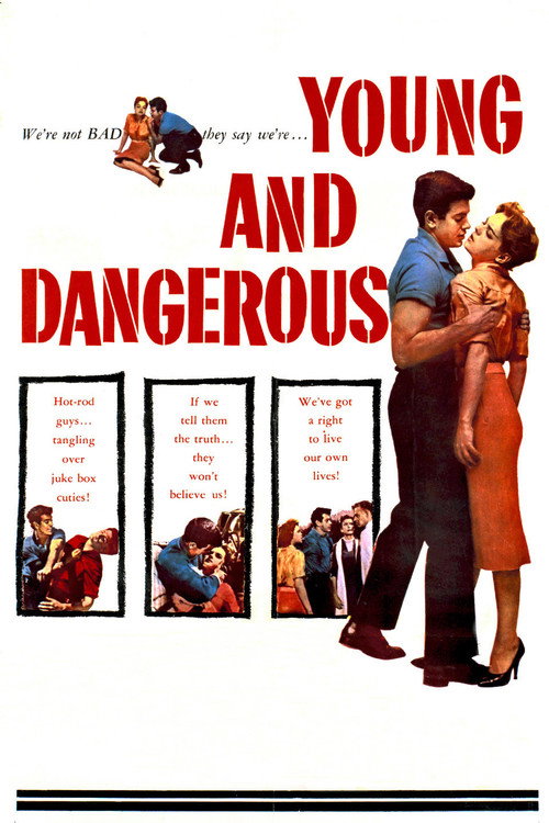 Young and Dangerous — постер