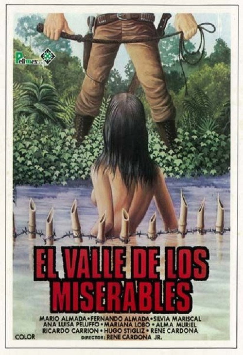 El valle de los miserables — постер