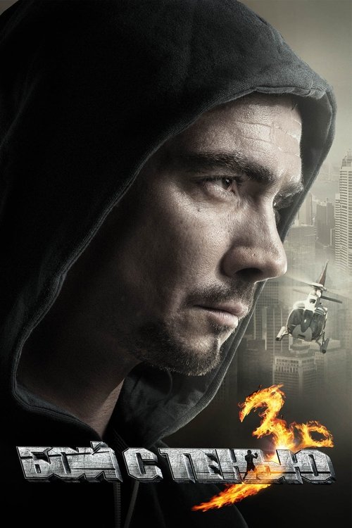Бой с тенью 3: Последний раунд — постер