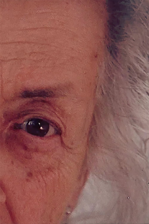 Jane, Looking — постер