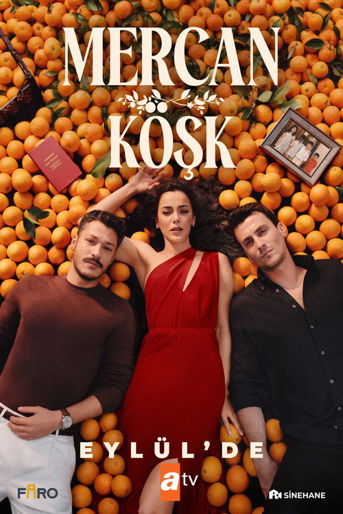Коралловый дворец — постер