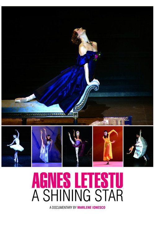 Agnès Letestu - L'Apogée d'une étoile — постер
