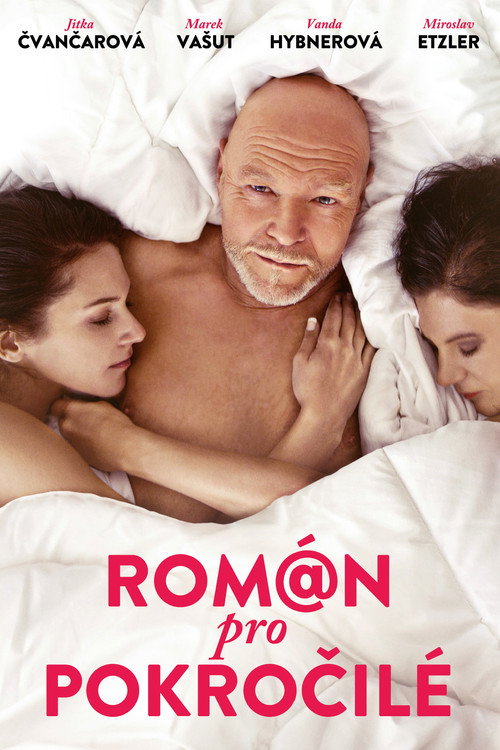 Román pro pokročilé — постер