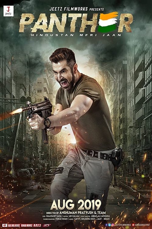 প্যান্থার — постер
