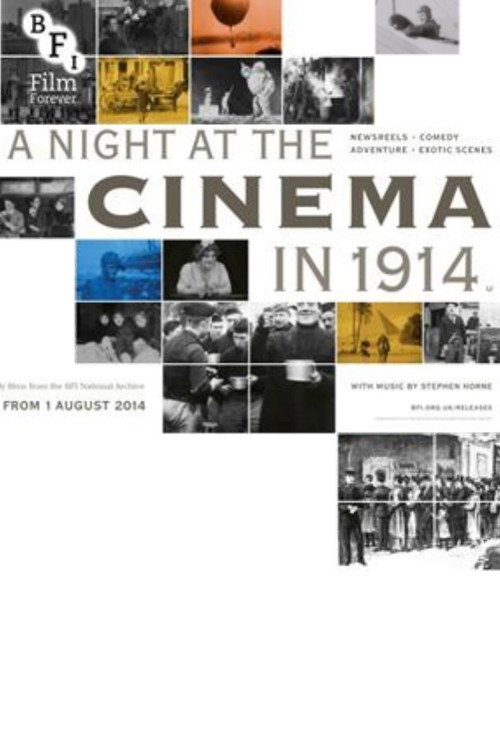 A Night at the Cinema in 1914 — постер