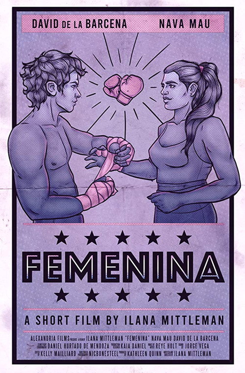 Femenina — постер