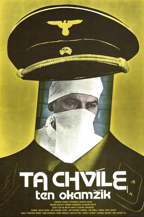 Ta chvíle, ten okamžik — постер
