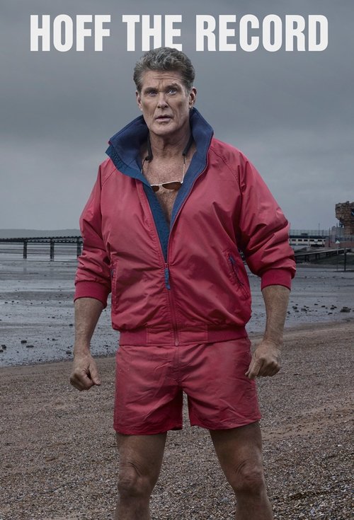 Hoff the Record — постер