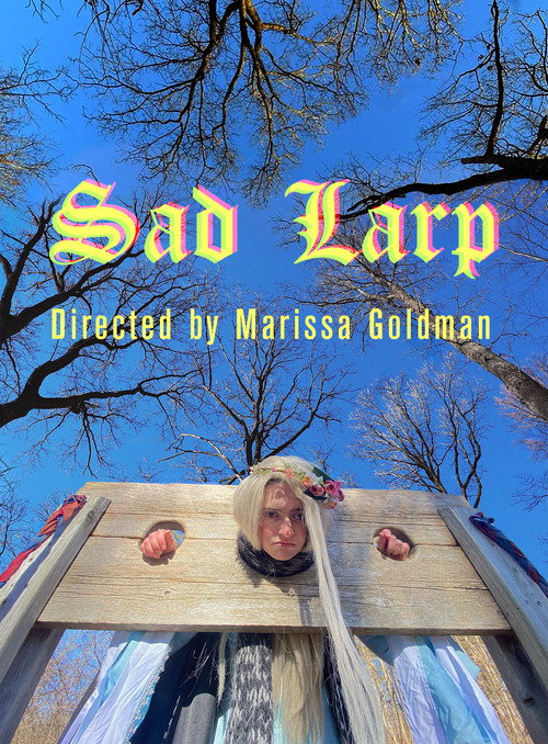 Sad LARP — постер
