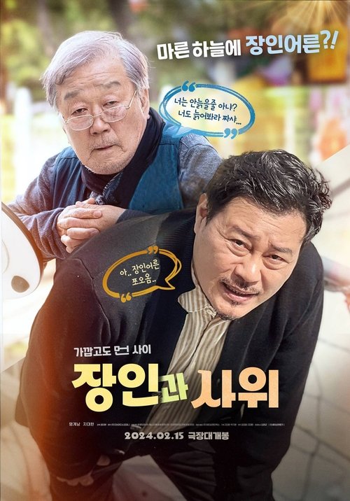 장인과 사위 — постер