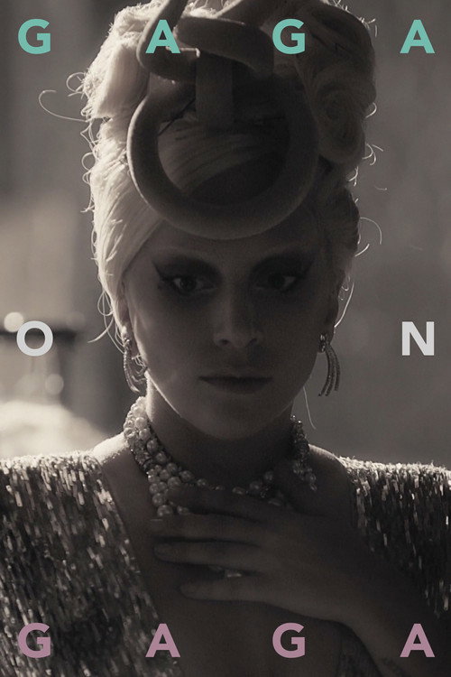 Gaga on Gaga — постер