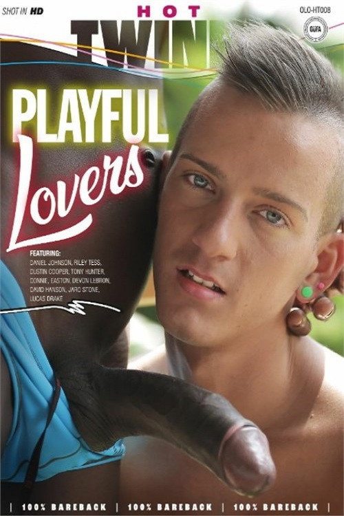 Playful Lovers — постер