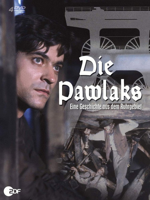 Die Pawlaks — постер