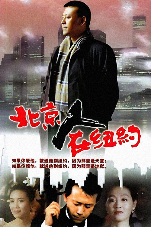 北京人在纽约 — постер