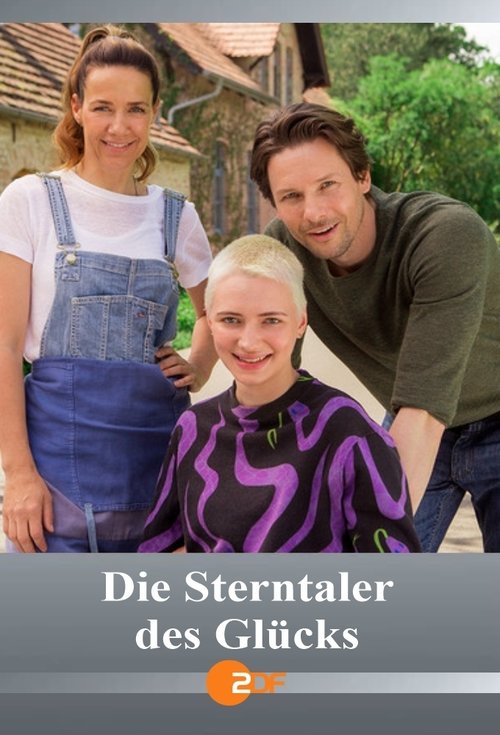 Die Sterntaler des Glücks — постер