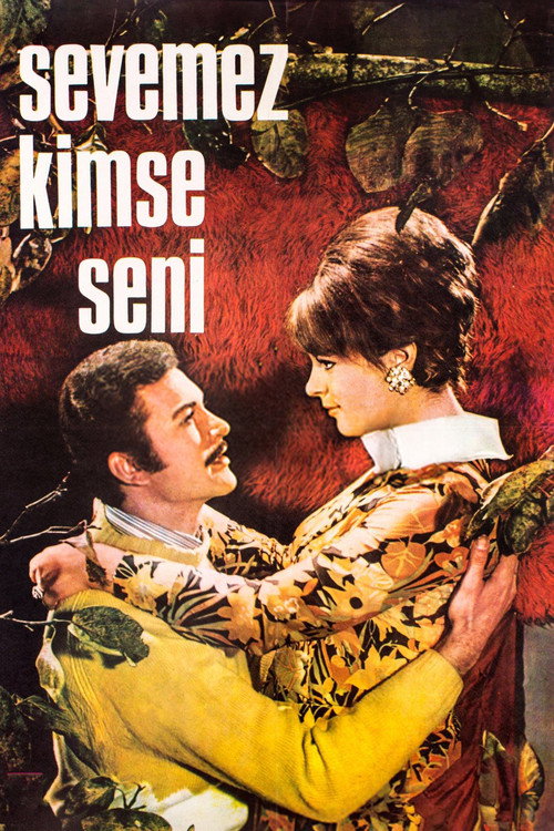 Sevemez Kimse Seni — постер