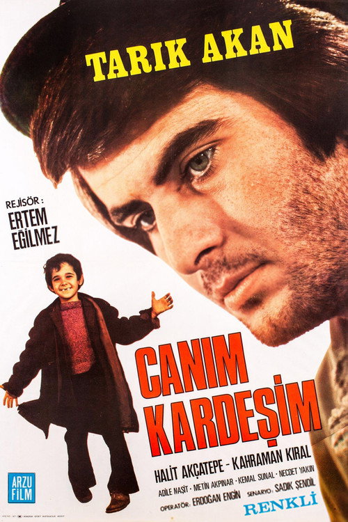 Canım Kardeşim — постер
