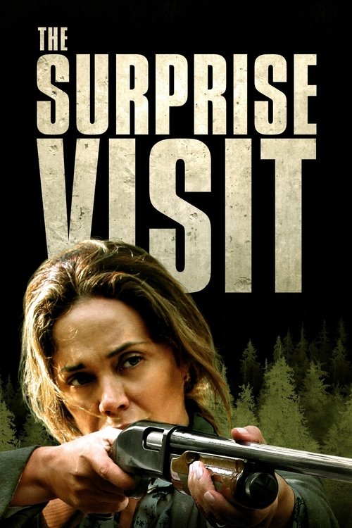 The Surprise Visit — постер
