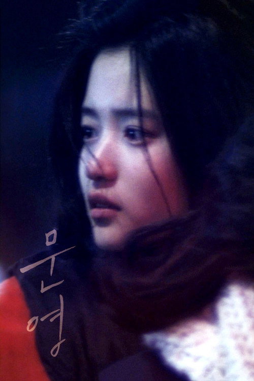 문영 — постер