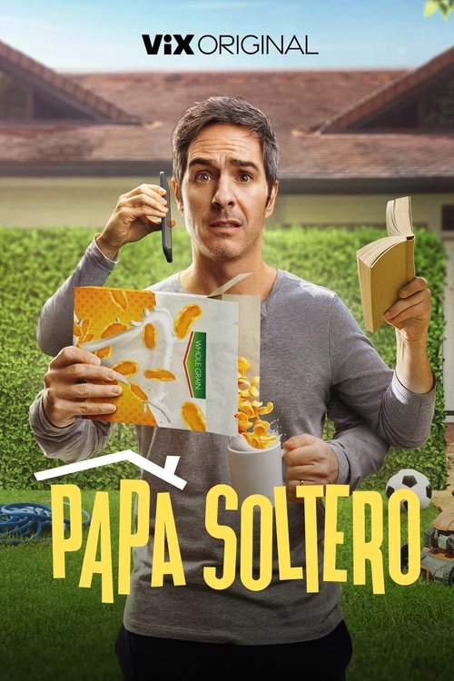 Papá Soltero — постер