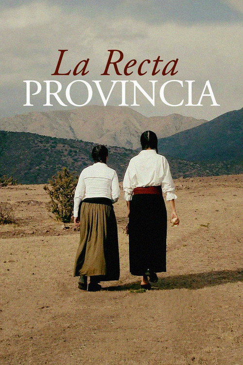 La Recta Provincia — постер
