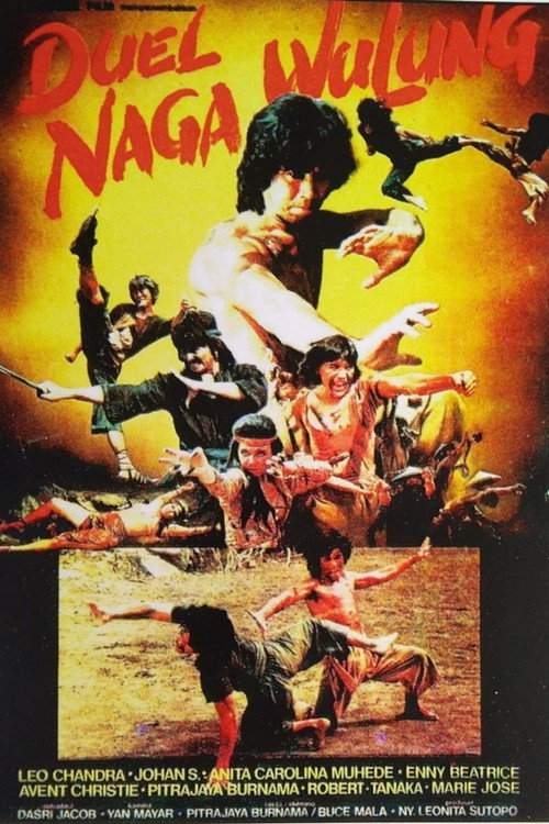 Duel Naga Wulung — постер