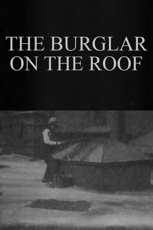 The Burglar on the Roof — постер